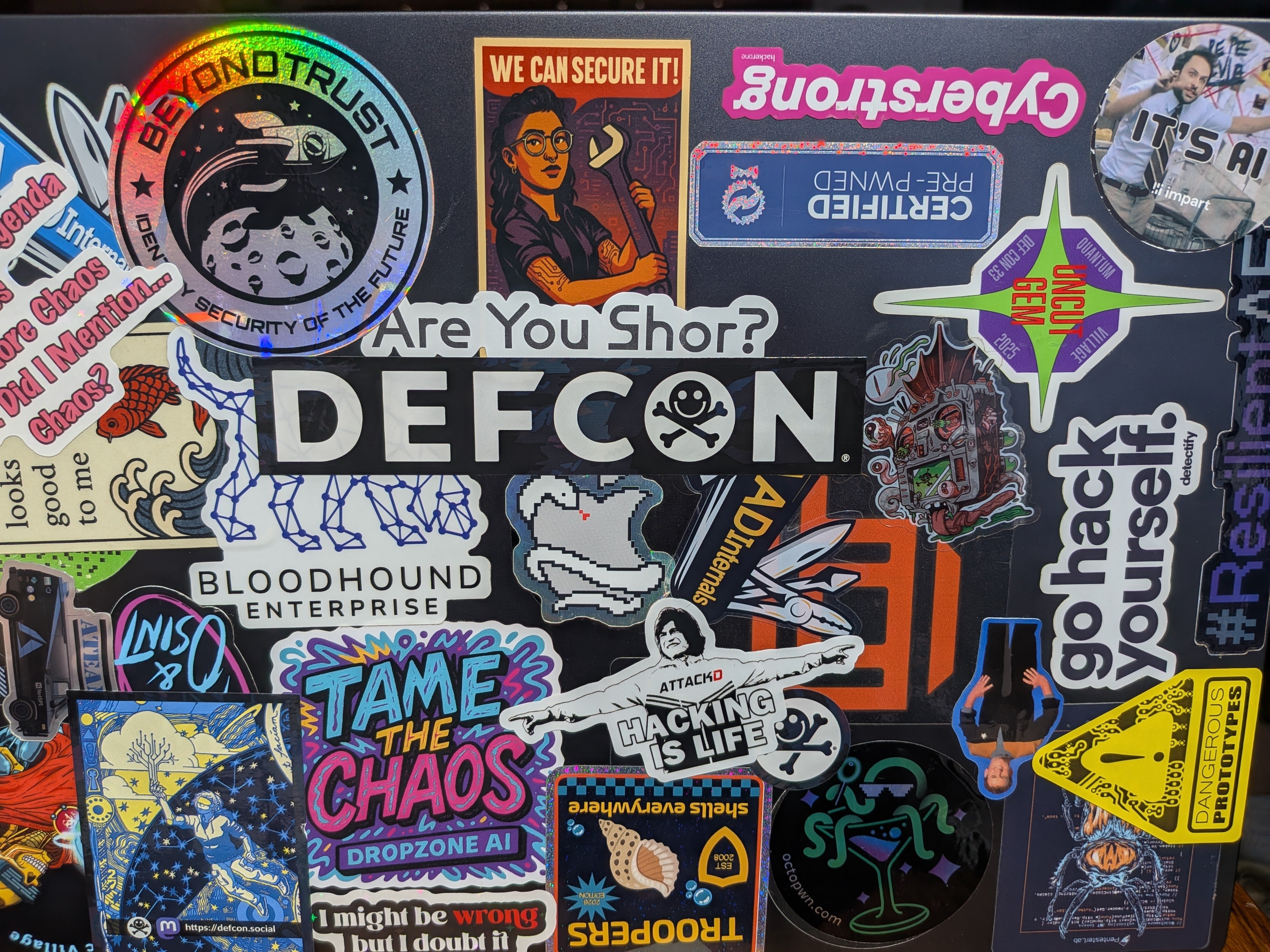 Featured image of post DEF CON: Wrestling with a python